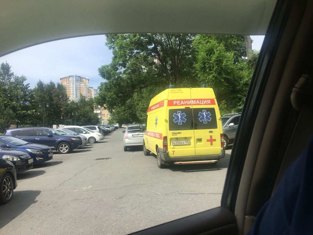 Нелепое ДТП вызвало множество разговоров среди автолюбителей