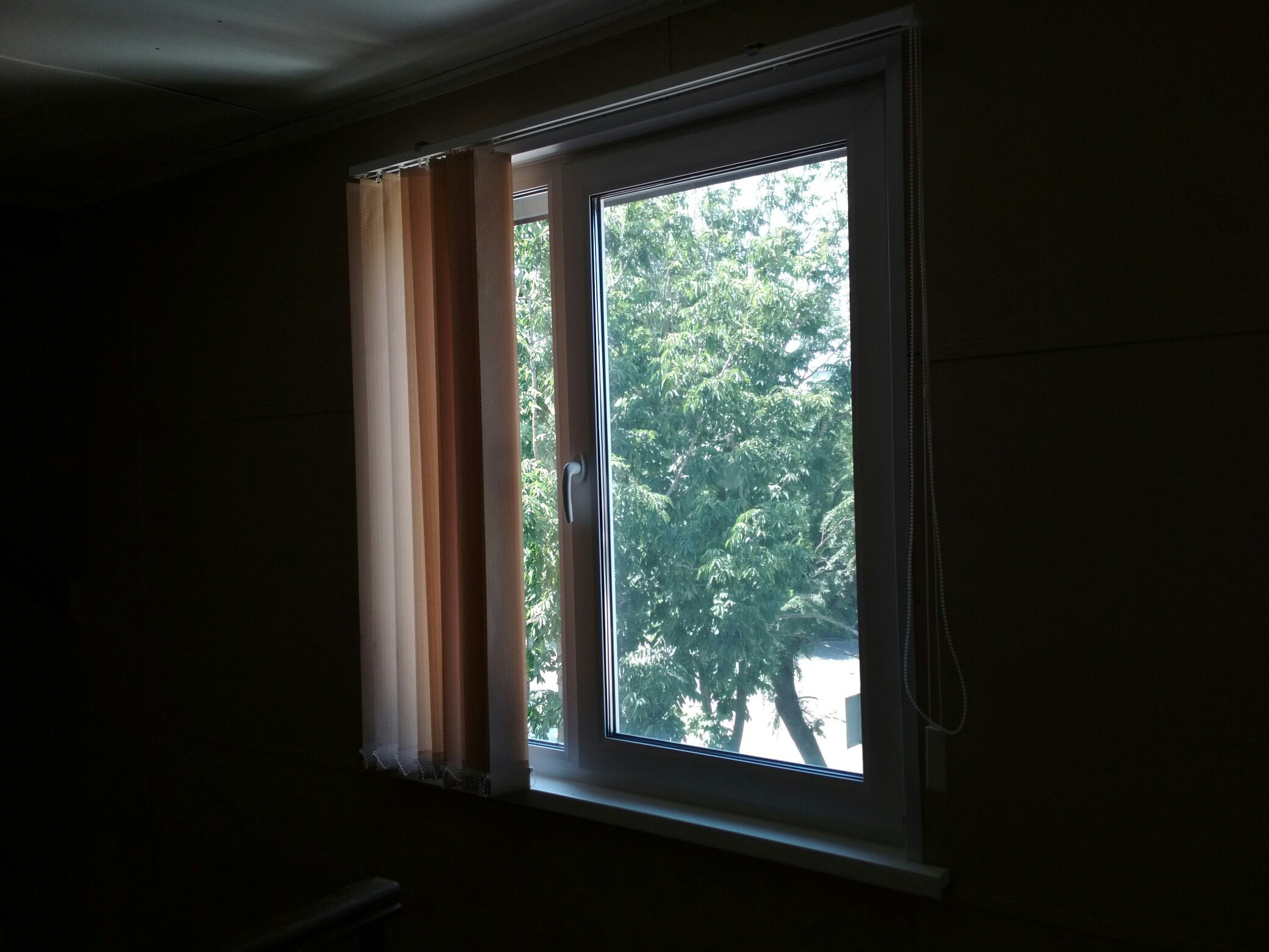 Велосипед, телефон, бензопила: три вещи были нужны приморцу для счастья