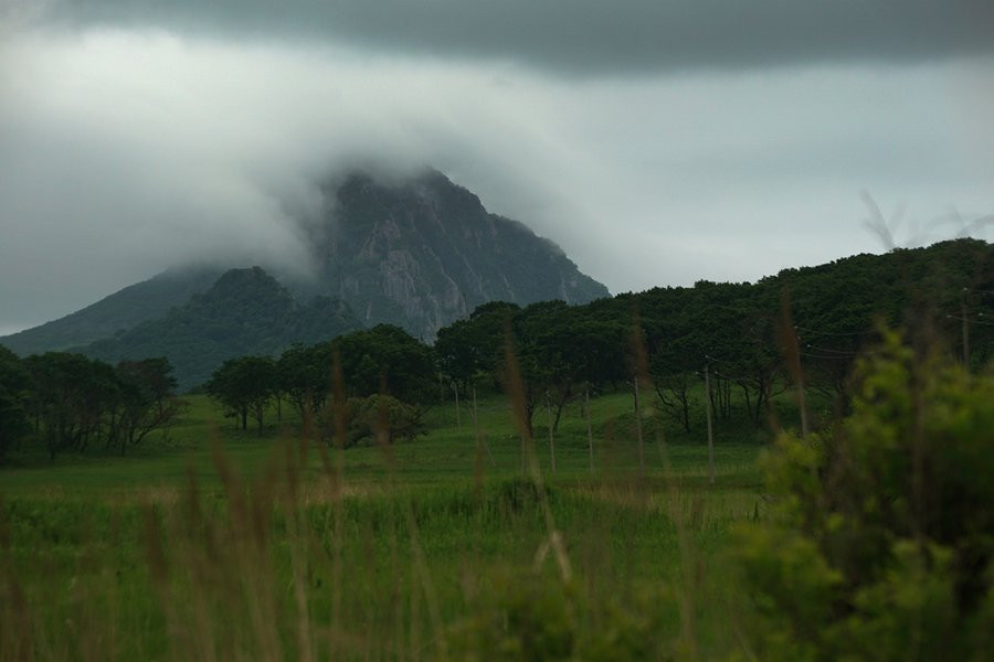 В глухой тайге мужчину растерзал хищник