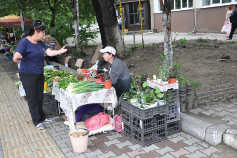 Уссурийск погряз в нелегальных носках