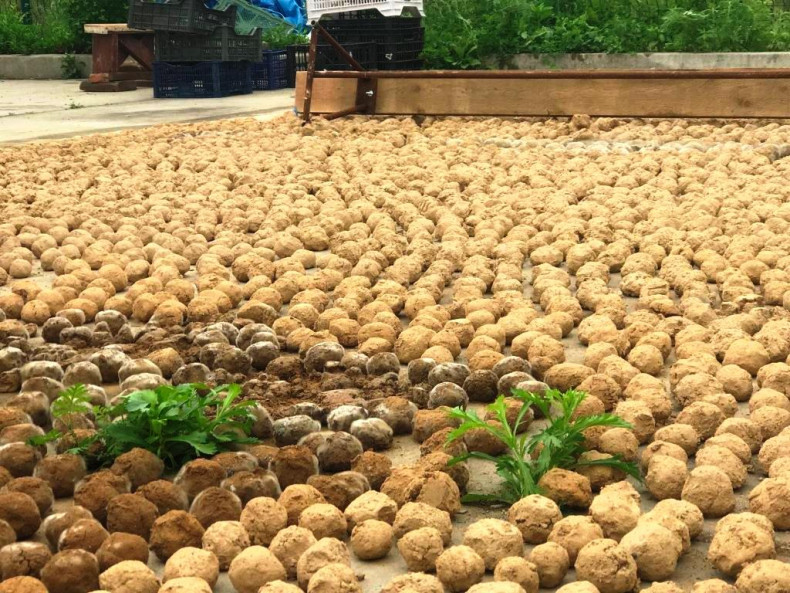 Только колобки могут спасти это озеро Владивостока