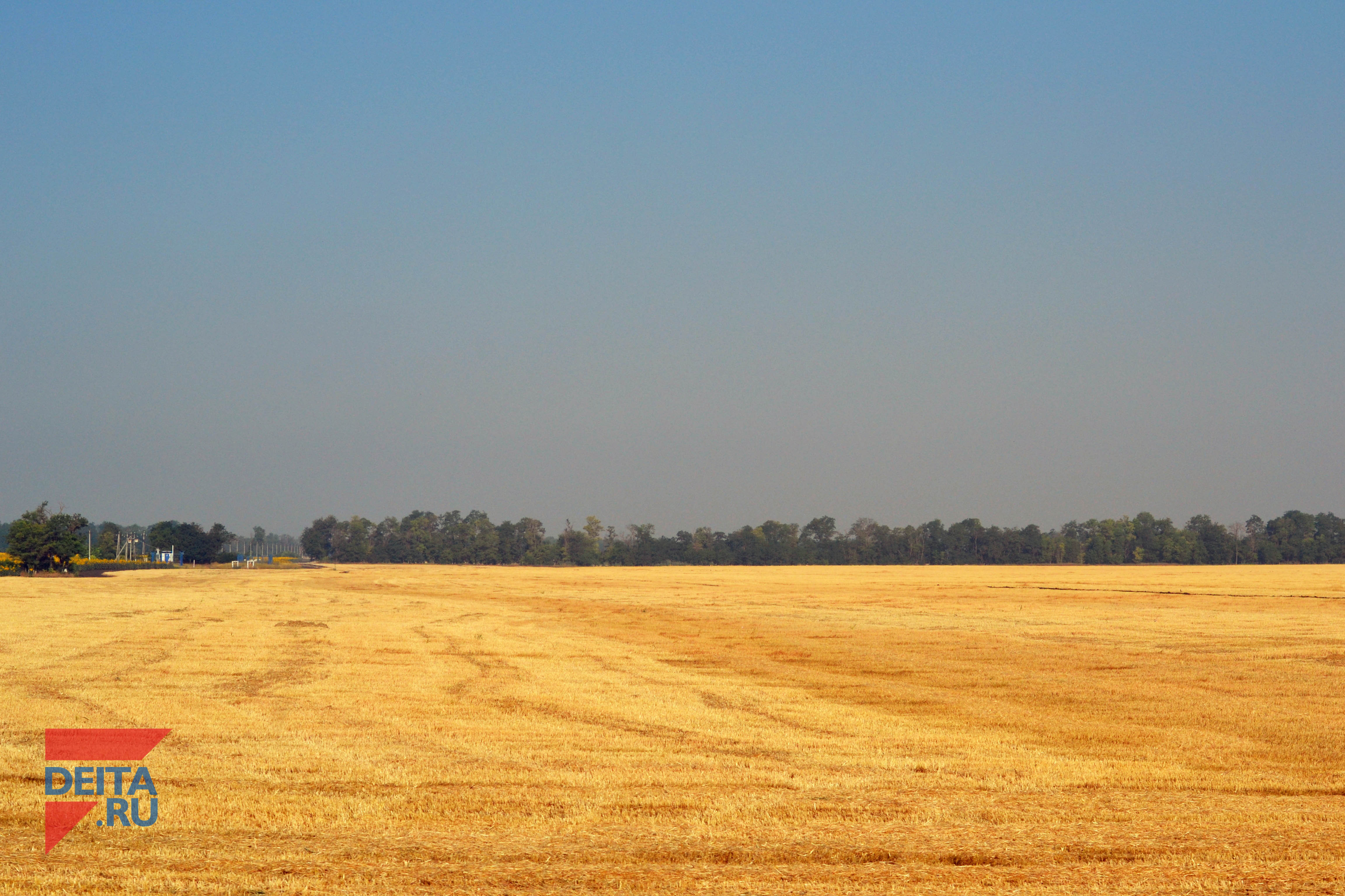 Природа сделала подарок аграриям Приморья в этом году