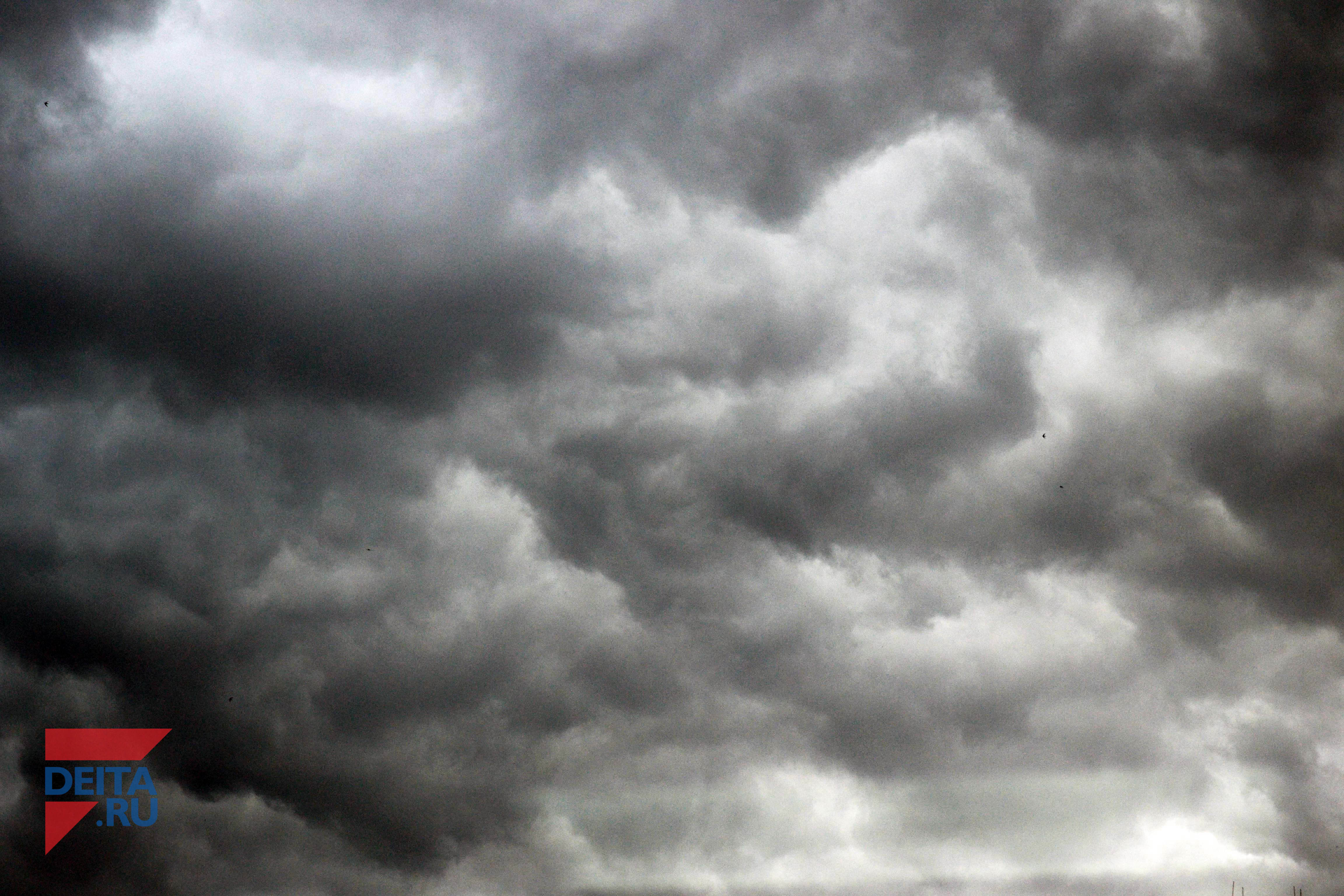 Синоптики рассказали, угрожает ли тропический шторм Приморью