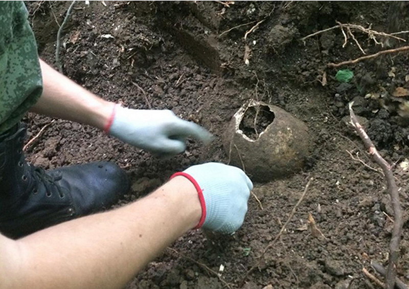 Находка, противоречащая общему мнению, обнаружена на Дальнем Востоке