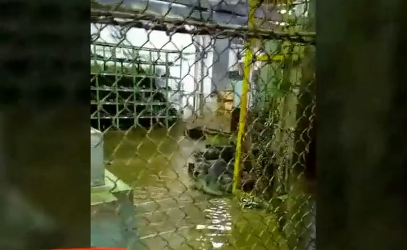 «Существует угроза жизни»: стратегический завод Путина затопило