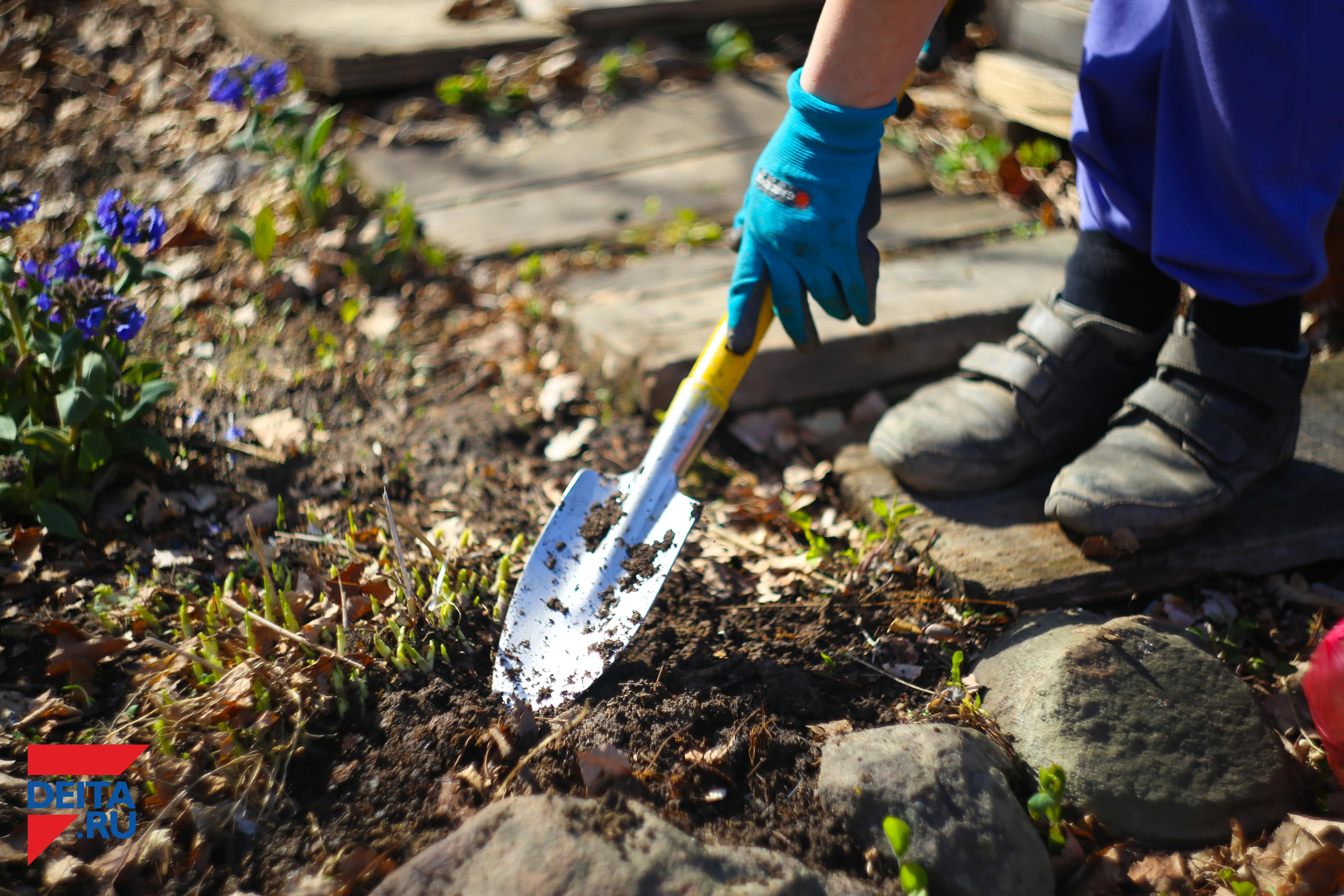 Новый населенный пункт появится на Дальнем Востоке