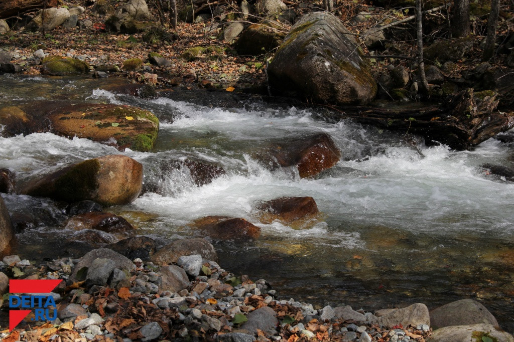 Приморец отобрал у соседей родник