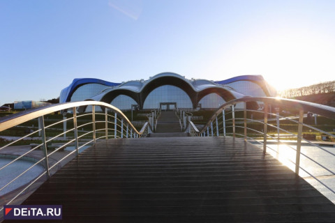 В приморском океанариуме родился скат по имени Сережа