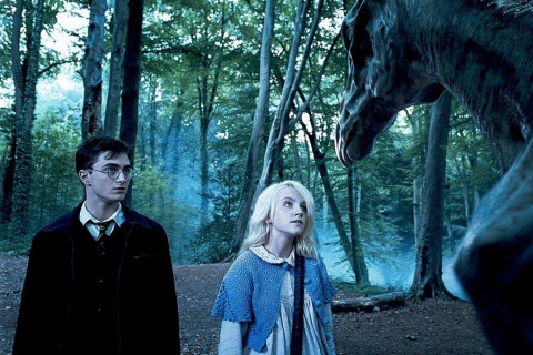 Звезда "Гарри Поттера" обратился к поклонникам на Дальнем Востоке