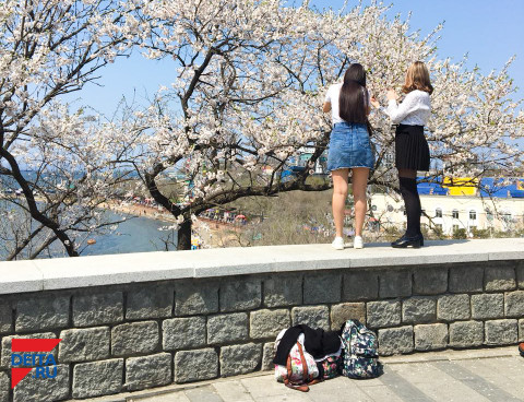 В России насчитали 2 млн молодых «дармоедов»