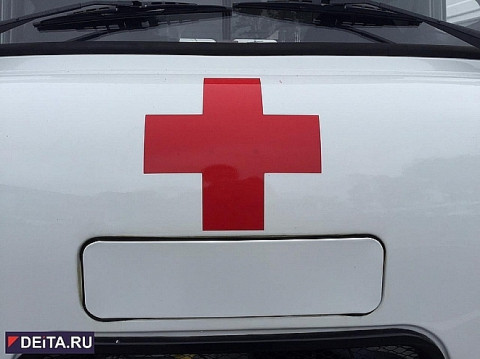 Пилот чудом выжил при крушении вертолета в России