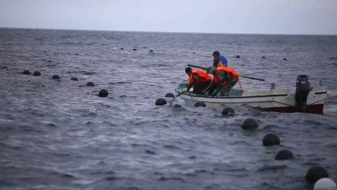 Подготовиться к новому тайфуну просят синоптики Приморья