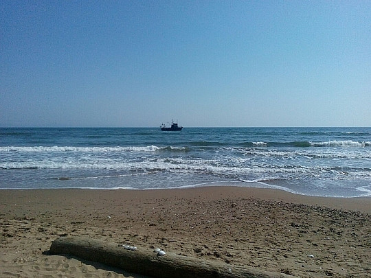 Отдыхающим на море грозит серьезная опасность