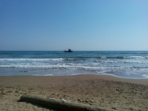 Отдыхающим на море грозит серьезная опасность