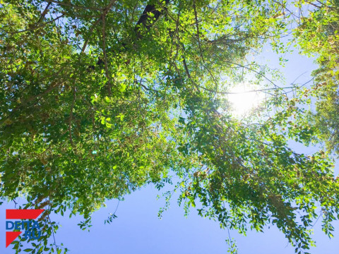 Уникальное природное явление зафиксировано в Приморье