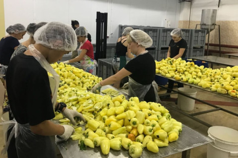 Спасский завод выпустит миллионы банок