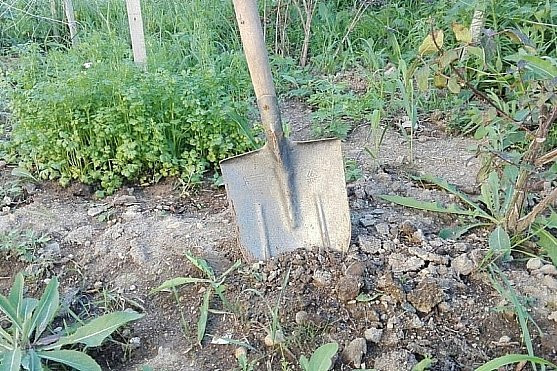 Россиянка родила ребенка и закопала его в огороде