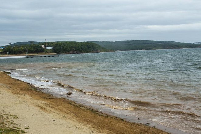 Шторм преподнес отдыхающим на пляже морской подарок