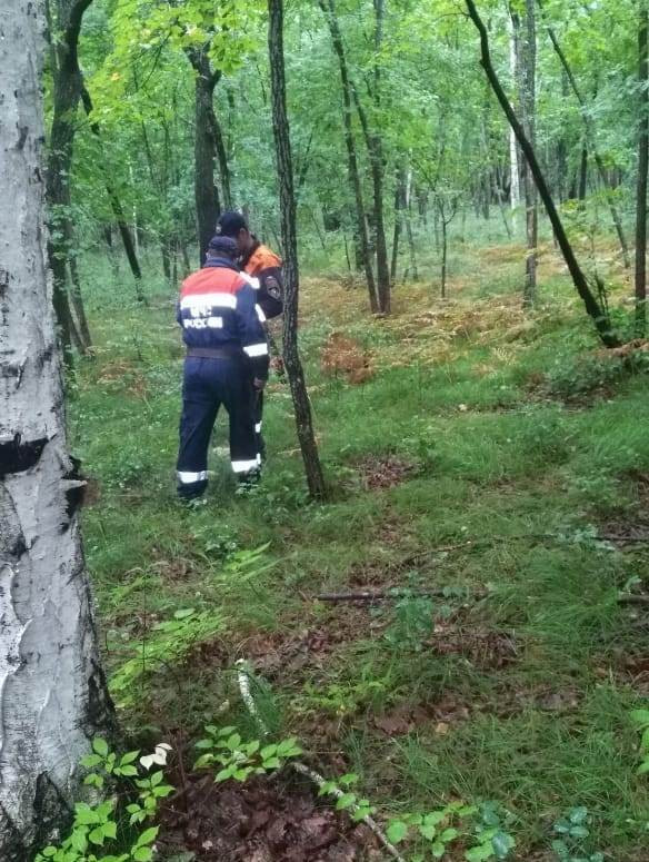О судьбе исчезнувших подростков доложили спасатели