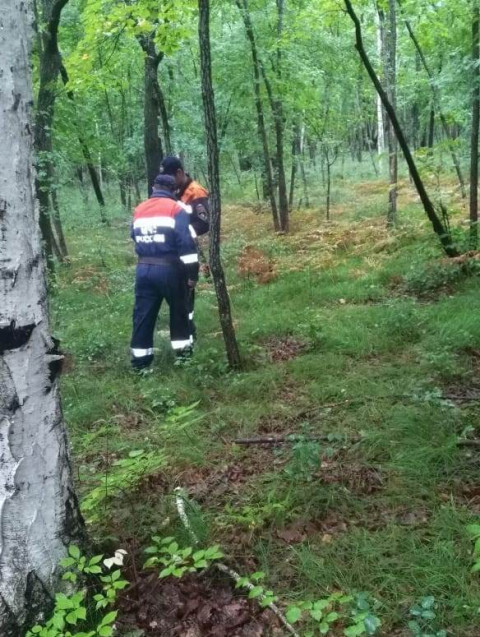 О судьбе исчезнувших подростков доложили спасатели