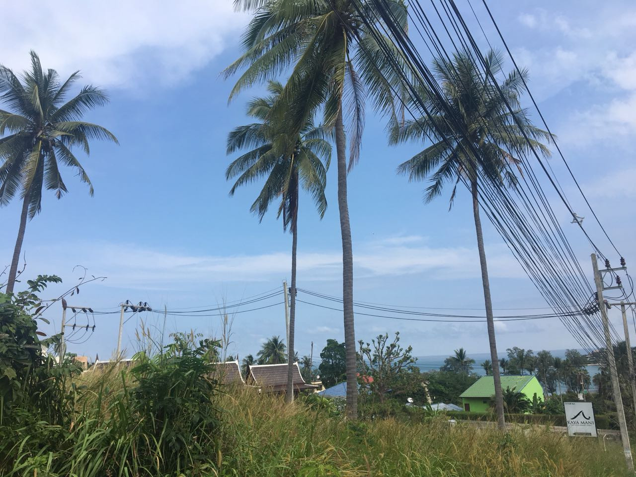 лихорадка на острове