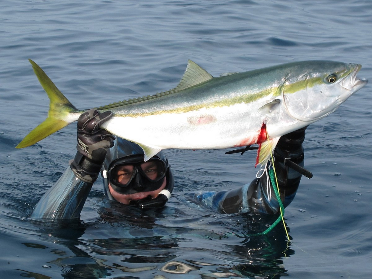 На Кубок Тихого океана по подводной охоте приглашают всех желающих