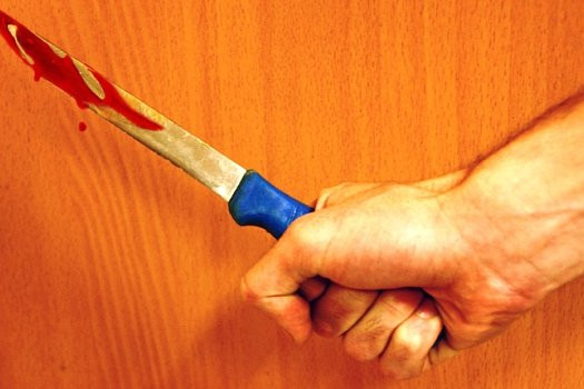 При осмотре квартиры "арендатор" достал нож