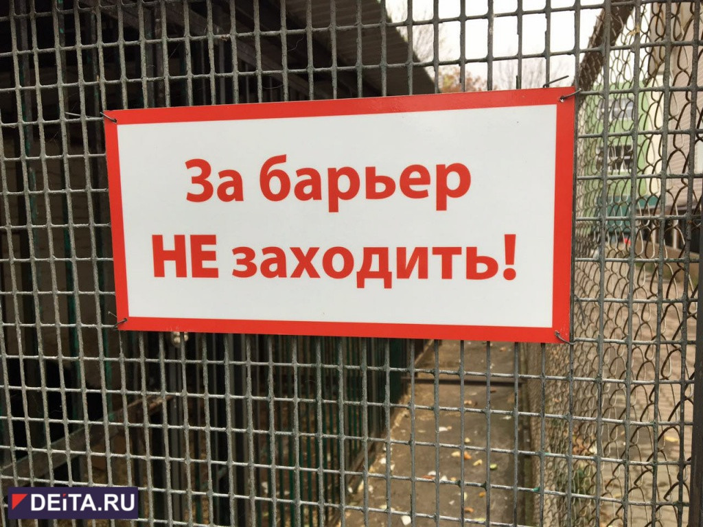 Несчастье произошло в дальневосточном зоопарке