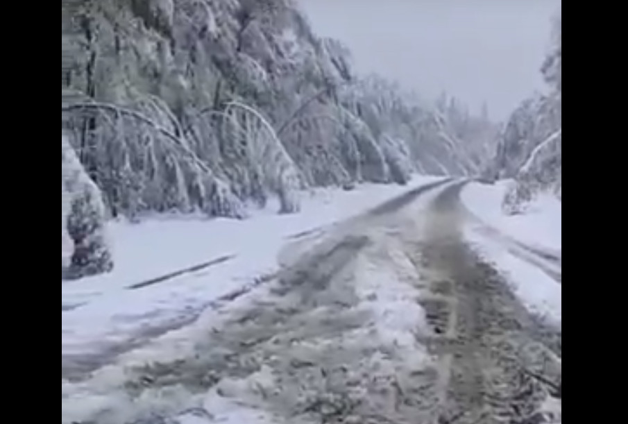 Видео: в начале сентября в Приамурье выпал снег