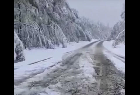 Видео: в начале сентября в Приамурье выпал снег