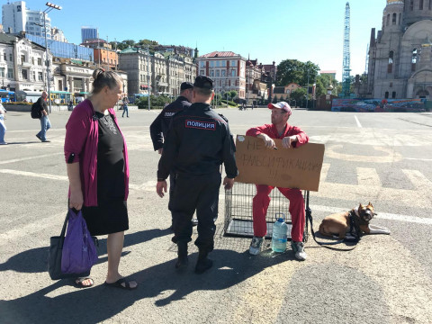 «Нет фальсификациям»: акции протеста проходят во Владивостоке