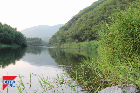 Выяснилось, что с уровнем воды в приморских реках