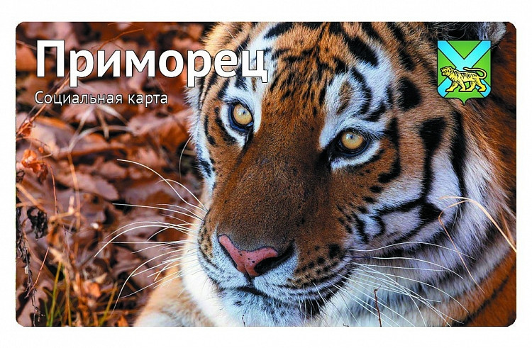 Карту «Приморец» украсит уссурийский тигр