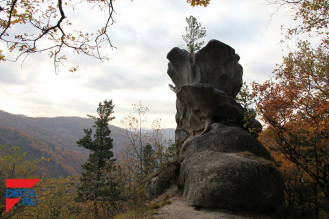 Осень подарит приморцам еще один теплый день