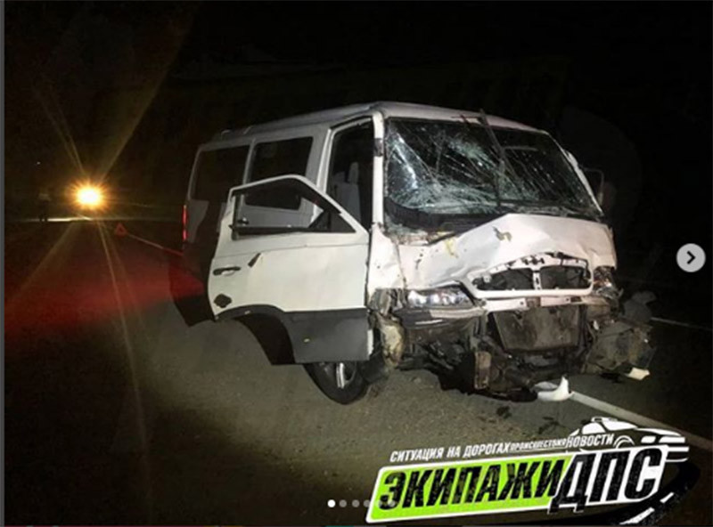 Автолюбитель раздавил двух коров в Приморье
