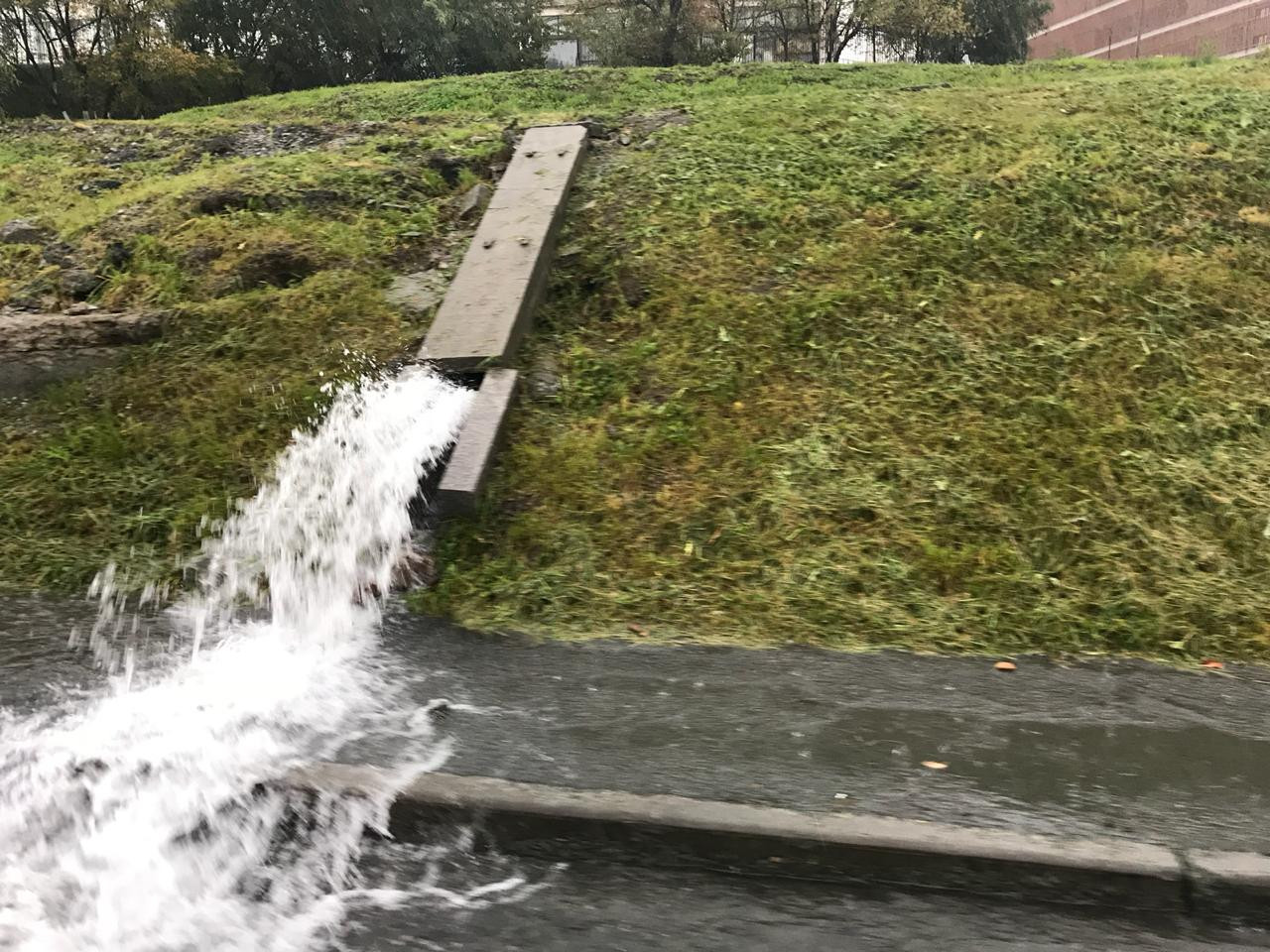 Гордость Владивостока заливает грязной водой