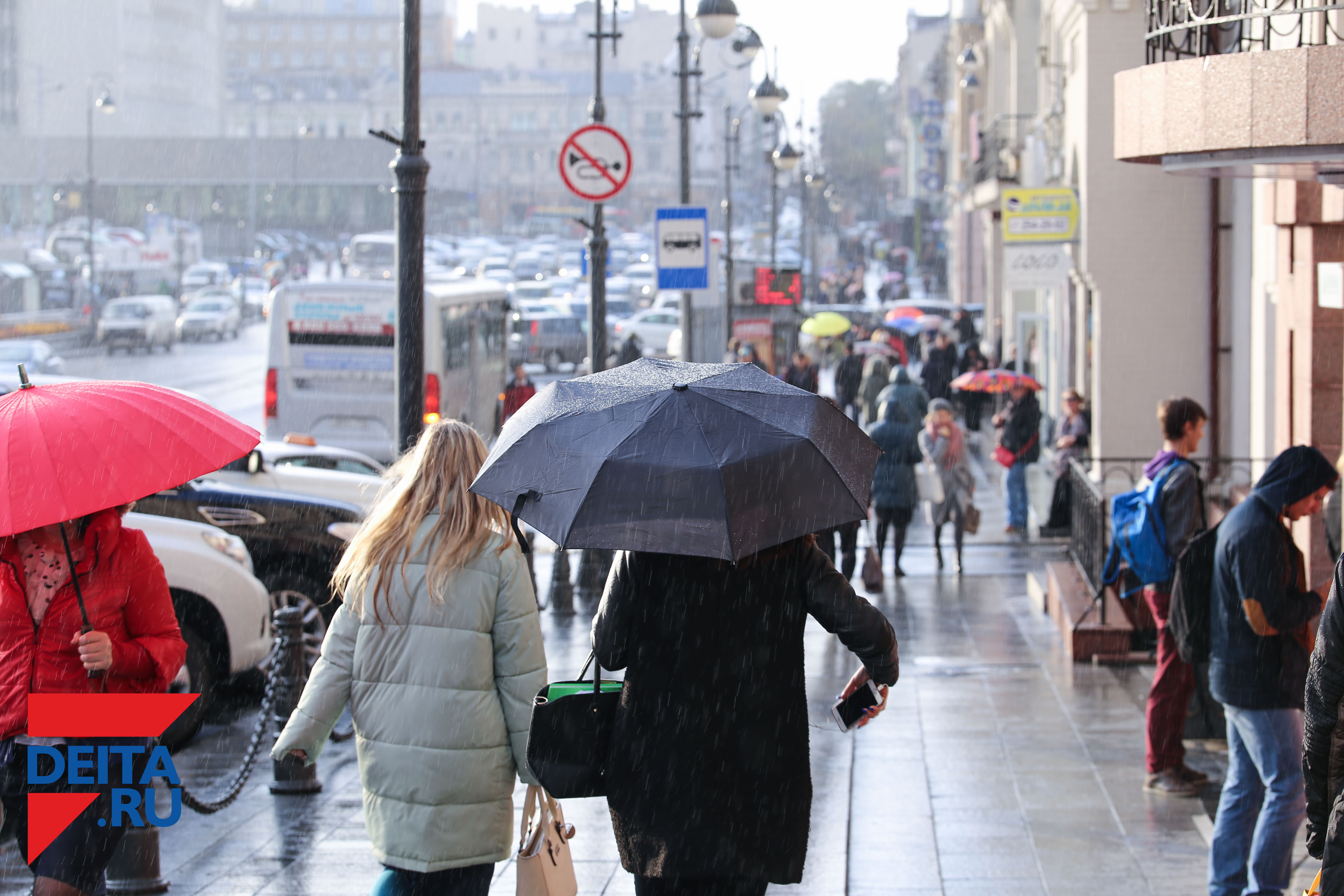 Стало известно, ждать ли сегодня дождя