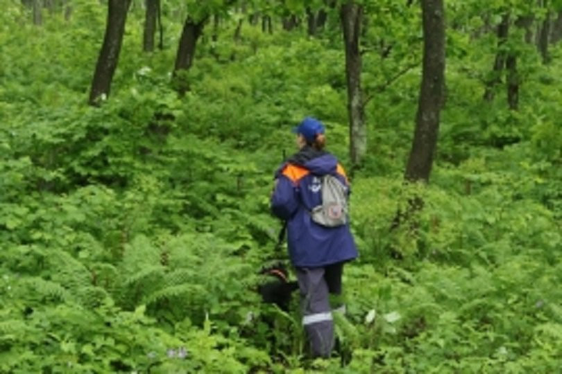 Мужчина и женщина исчезли при странных обстоятельствах