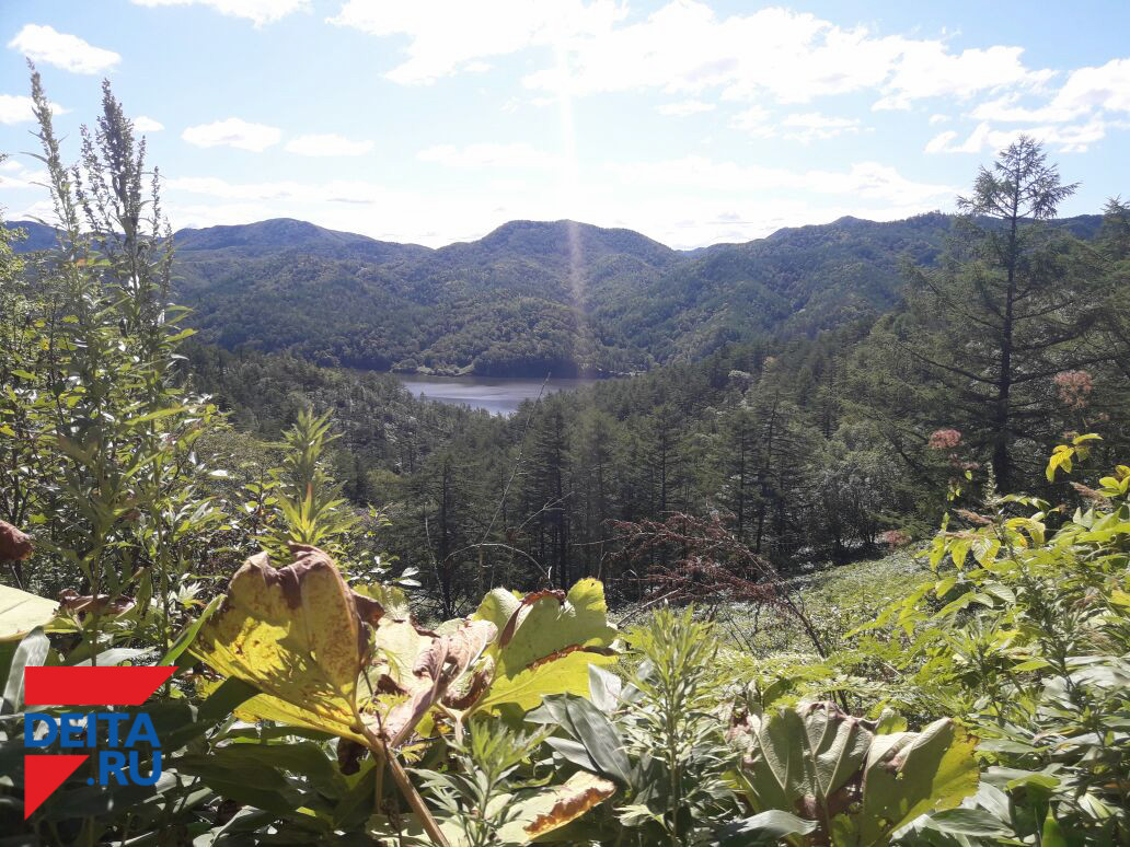 Новая экономическая политика принесет Сахалину миллиарды рублей