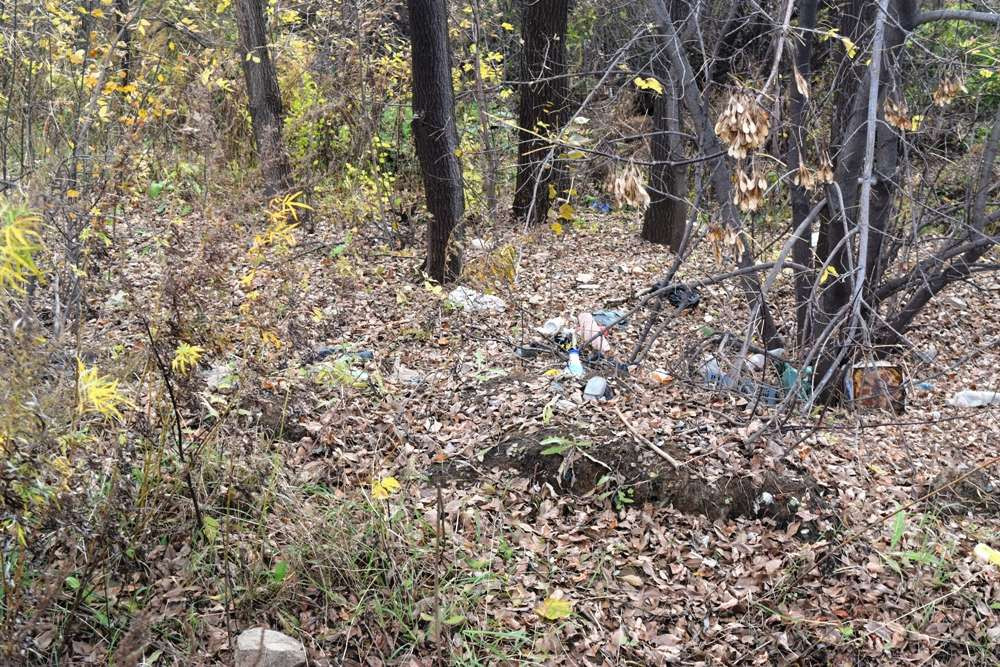 Вместо детской площадки приморцы имеют грязный пустырь