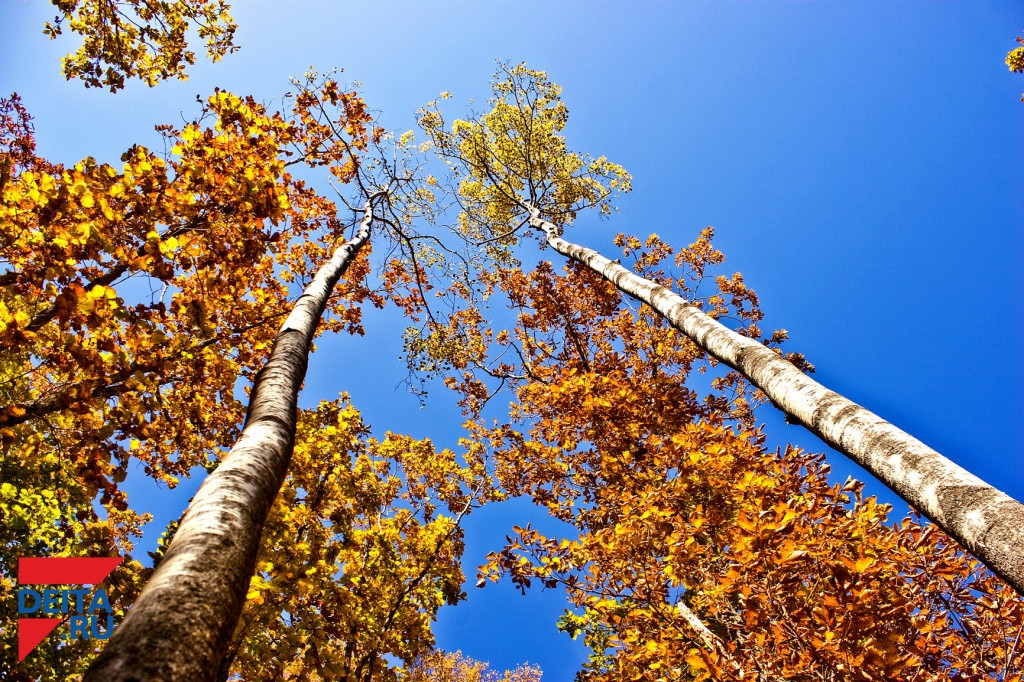 О погоде на завтра рассказали синоптики