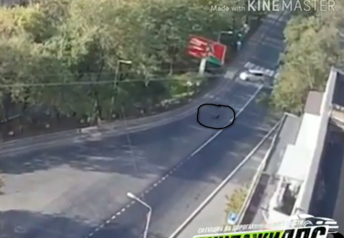 Шокирующие кадры: момент смертельной аварии с байкером попал на видео