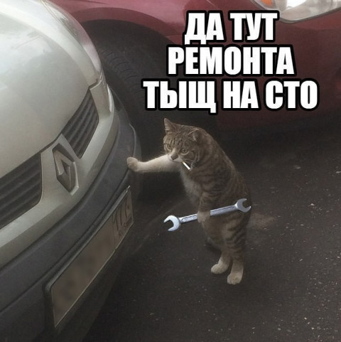 «Тут ремонта тыщ на сто»: авто в темноте нашли друг друга