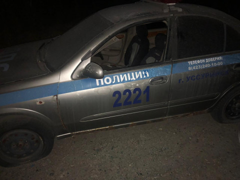 Хулиганы разбили полицейские машины в Приморье