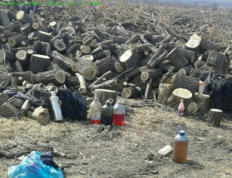Пожароопасный сезон объявлен в Приморье раньше срока