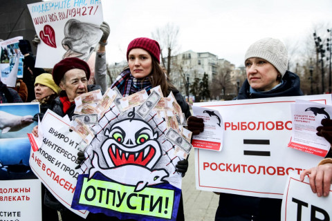 Москва поддержала Владивосток