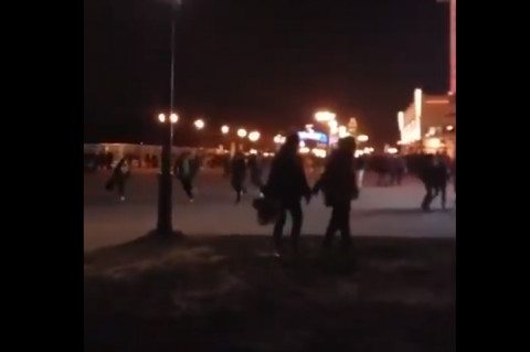 Паника в Парижском Диснейленде попала на видео