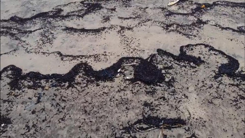 Пляжи популярного курорта залило мазутом
