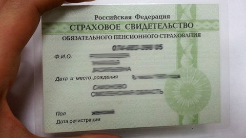 Зеленый СНИЛС отменила Госдума