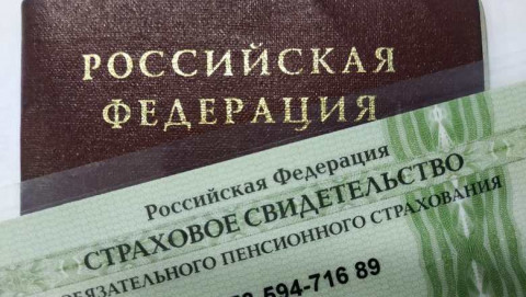 Стало известно, когда СНИЛС станет электронным